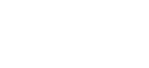DJ Flush
